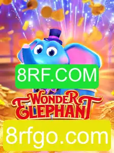 Descubra o Fascinante Mundo de WonderElephant
